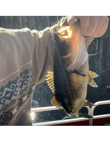 Kit de Pesca Automático BattlBox 2-Pack - Supervivencia al Aire Libre