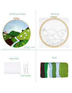 Kit de Inicio de Aguja de Fieltro de Lana Wonafa DIY para Principiantes 2