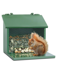 Comedero para Ardillas Gavinjitao de Metal Verde Colgante
