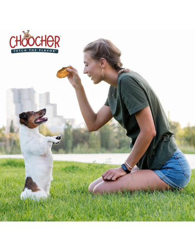Galletas Veganas para Perros CHOOCHER de Batata 396g - Sin Gluten