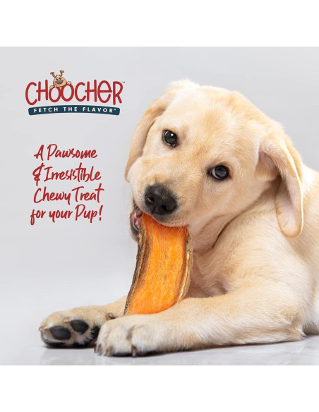 Galletas Veganas para Perros CHOOCHER de Batata 396g - Sin Gluten