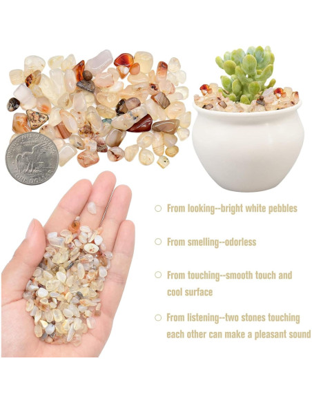 Halatool 0.47 kg Piedras de Cristal Pulidas Naturales 7-20 mm