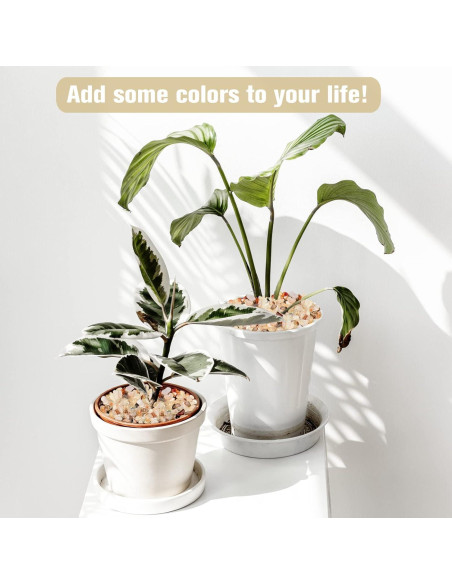 Halatool 0.47 kg Piedras de Cristal Pulidas Naturales 7-20 mm