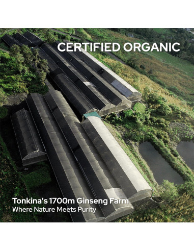 Kit de Cuidado de Piel Antienvejecimiento Tonkina 1700 - Ginseng