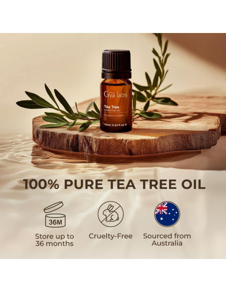 Set de Aceites Esenciales Gya Labs 100% Naturales 2x10ml Set de Aceites Esenciales Gya Labs 100% Naturales 2x10ml