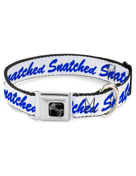 Collar para Perros Buckle-Down 24.1-33 cm con Hebilla de Seguridad Collar para Perros Buckle-Down 24.1-33 cm con Hebilla de Seguridad