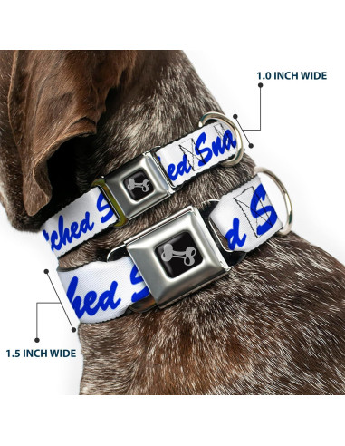 Collar para Perros Buckle-Down 24.1-33 cm con Hebilla de Seguridad