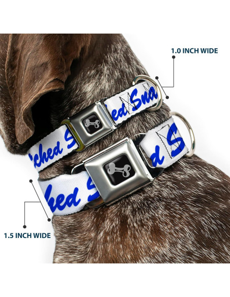 Collar para Perros Buckle-Down 24.1-33 cm con Hebilla de Seguridad Collar para Perros Buckle-Down 24.1-33 cm con Hebilla de Seguridad