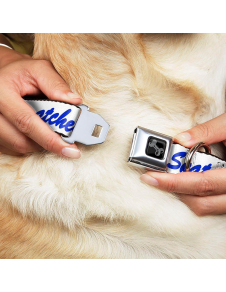 Collar para Perros Buckle-Down 24.1-33 cm con Hebilla de Seguridad Collar para Perros Buckle-Down 24.1-33 cm con Hebilla de Seguridad