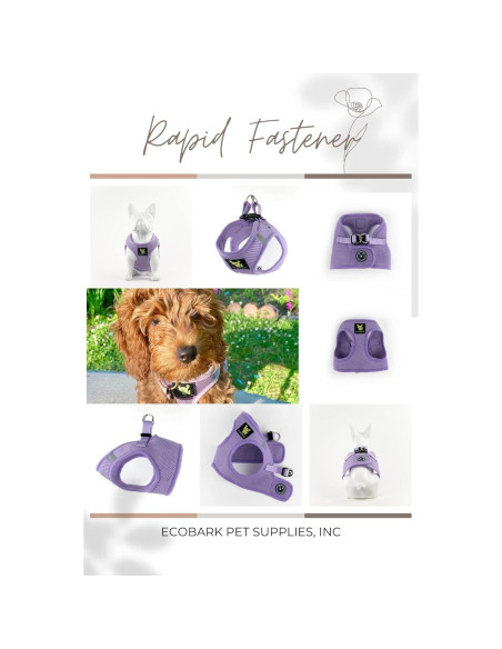 Arnés para Perros EcoBark XXXS Lavanda - Chaleco Suave para Cachorros Arnés para Perros EcoBark XXXS Lavanda - Chaleco Suave para Cachorros