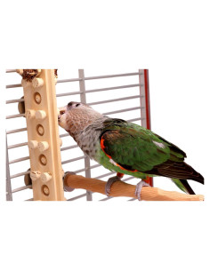 Juguete para Loro Woodberry Parrot Wizard - Masticable 30.48 cm