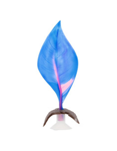 Cama de Hoja para Betta CAPASTEC Azul Silicona 10x4.5cm