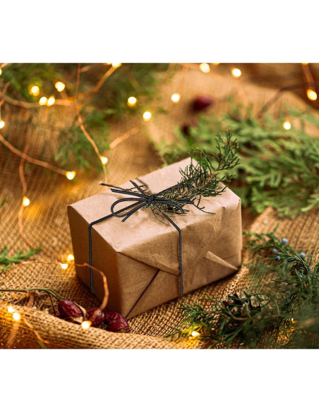 K-Kraft Lazos Elásticos Negros Mate 50 Unidades 25.4 cm K-Kraft Lazos Elásticos Negros Mate 50 Unidades 25.4 cm