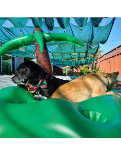 Juego de Flotadores para Perros KUCDBUN con Tazón Plegable 2