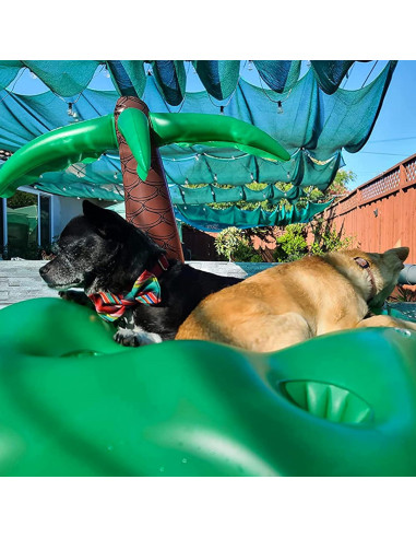 Juego de Flotadores para Perros KUCDBUN con Tazón Plegable