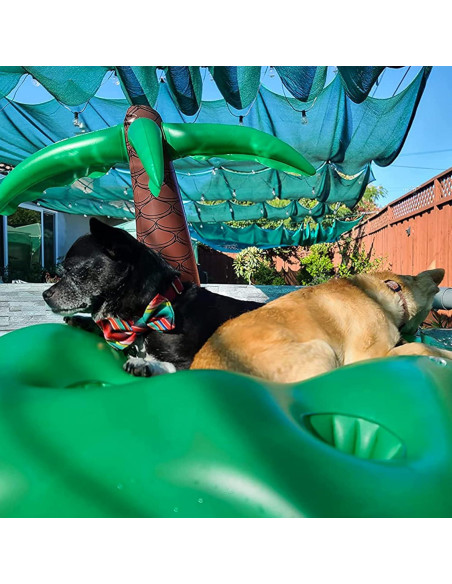 Juego de Flotadores para Perros KUCDBUN con Tazón Plegable