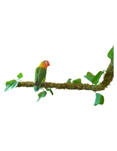 Percha para Aves Begeterday 63.5 cm Musgo Natural Flexible