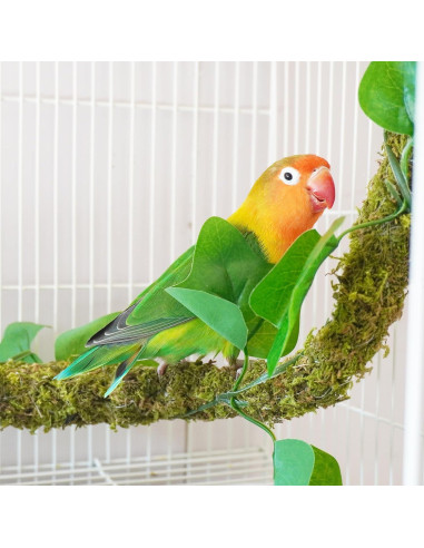 Percha para Aves Begeterday 63.5 cm Musgo Natural Flexible