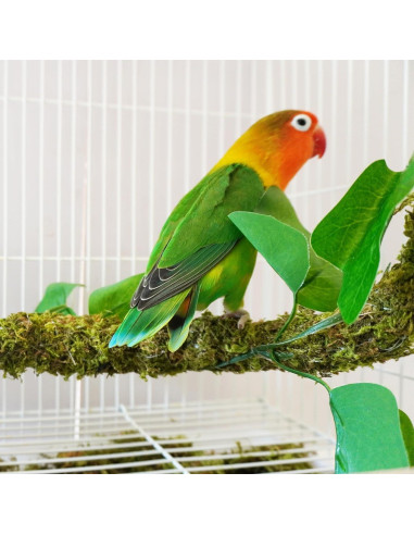 Percha para Aves Begeterday 63.5 cm Musgo Natural Flexible
