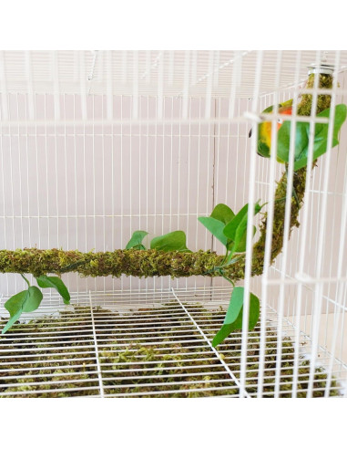 Percha para Aves Begeterday 63.5 cm Musgo Natural Flexible
