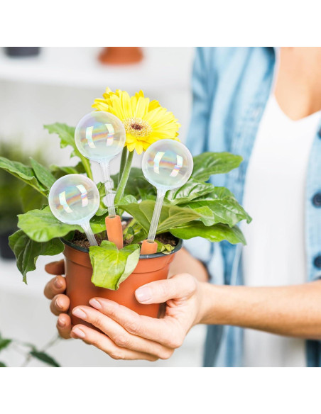 6 Esferas de Riego Automático de Vidrio Iridiscente para Plantas