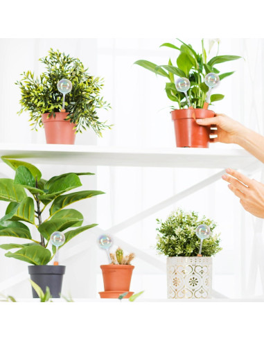 6 Esferas de Riego Automático de Vidrio Iridiscente para Plantas