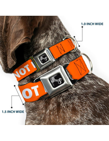Collar de Perro Buckle-Down Naranja 20-31" (50.8-78.74 cm)