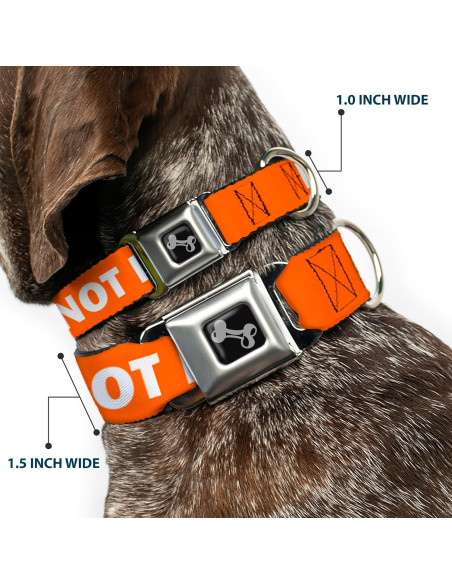 Collar de Perro Buckle-Down Naranja 20-31" (50.8-78.74 cm)