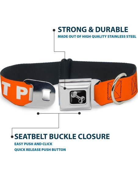 Collar de Perro Buckle-Down Naranja 20-31" (50.8-78.74 cm)