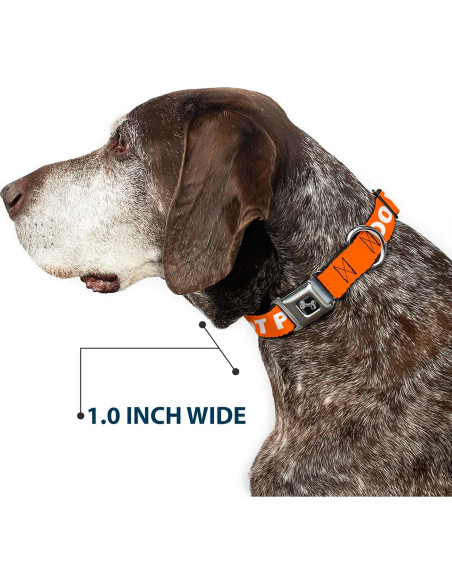 Collar de Perro Buckle-Down Naranja 20-31" (50.8-78.74 cm)