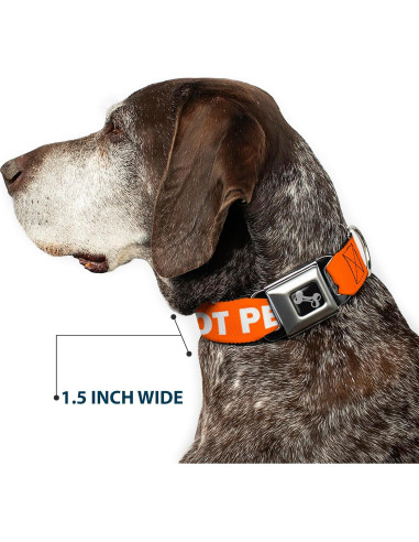 Collar de Perro Buckle-Down Naranja 20-31" (50.8-78.74 cm)