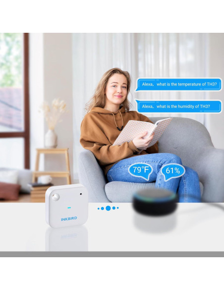 Termómetro Higrometro WiFi INKBIRD IBS-TH3, Monitoreo Remoto