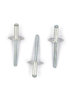 60 Remaches Ciegos de Brida Grande ALLOYPRO 4.8x12mm Plateado