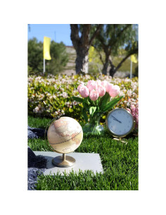 Globo Antiguo Annova 14CM con Base de Acero Inoxidable 2