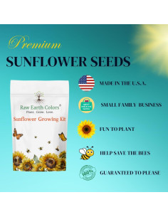 Kit de Crecimiento de Girasoles Enanos RAW EARTH - Semillas Teddy Bear y Sunspot 2