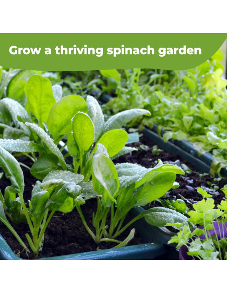 Fertilizante en aerosol Perfect Plants 236.6 ml para hojas verdes