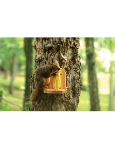 Alimentador de Plataforma para Ardillas Audubon Woodlink 2