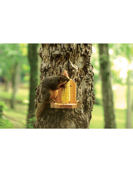 Alimentador de Plataforma para Ardillas Audubon Woodlink