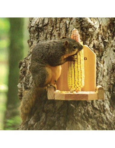 Alimentador de Plataforma para Ardillas Audubon Woodlink