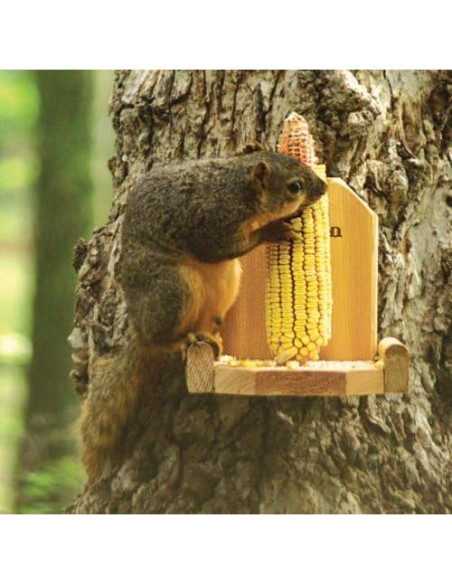 Alimentador de Plataforma para Ardillas Audubon Woodlink