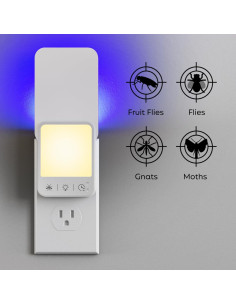 Tarjetas Adhesivas Reemplazo Trampa Insectos KOOSA 12 Unidades 2