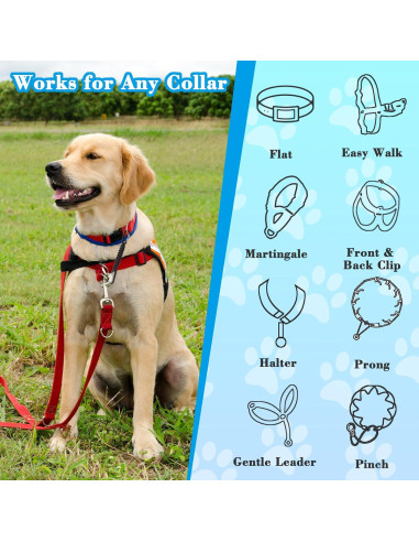 Clip de Seguridad para Correa de Perro Maxqzin DY1760, 16.6cm