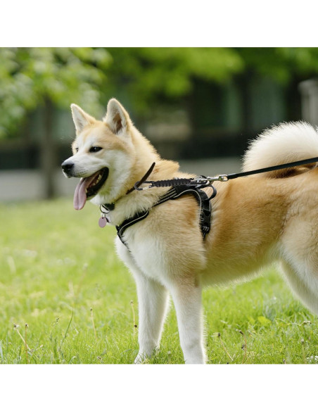 Clip de Seguridad para Correa de Perro Maxqzin DY1760, 16.6cm