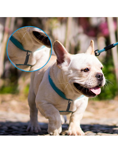 Clip de Seguridad para Correa de Perro Maxqzin DY1760, 16.6cm