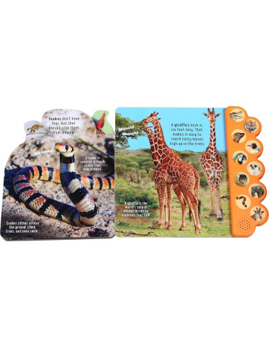 Discovery: Roar at the Zoo! (10-Button Sound Books) (Image on Book may slightly vary)