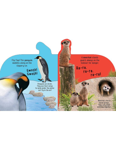Discovery: Roar at the Zoo! (10-Button Sound Books) (Image on Book may slightly vary)
