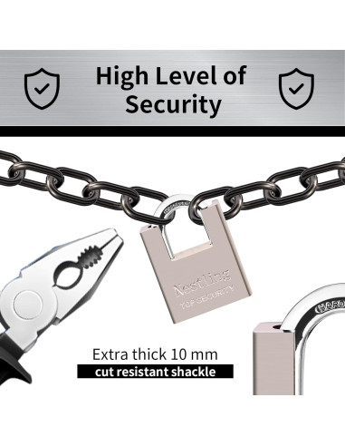 Candado AMMIY de Alta Seguridad con 4 Llaves - Acero y Latón