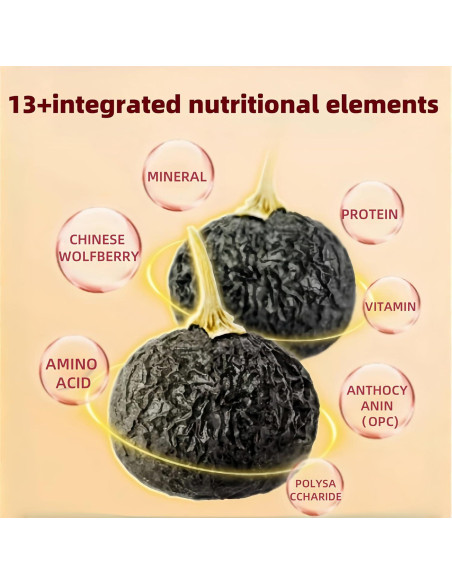 Bayas de Goji Negras Orgánicas 200g - Superalimento Seco Premium