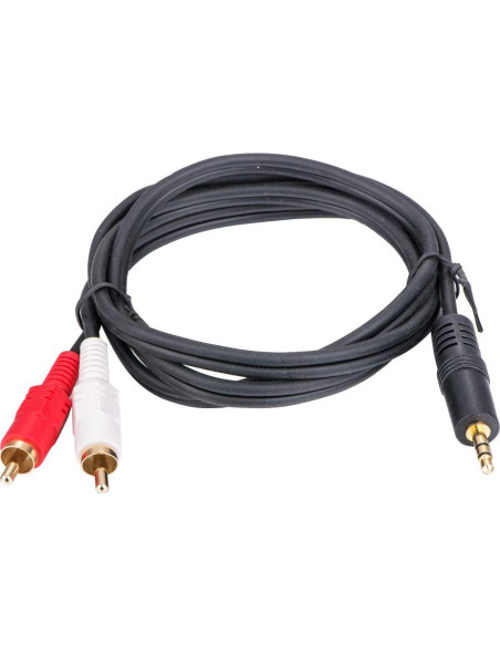 Adaptador de Audio Aux RCA Sky International FM-304K