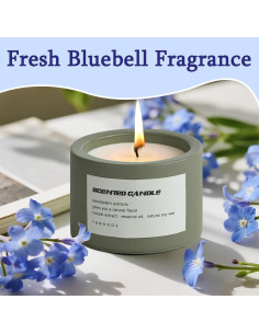 Vela Aromática de Cera de Soja BOLGRLONG en Taza Cemento 8cm 2